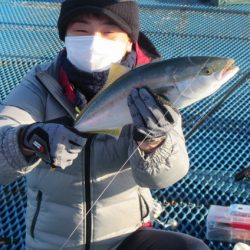 オリジナルメーカー海づり公園(市原市海づり施設) 釣果