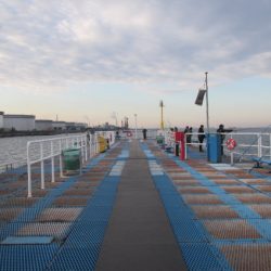 オリジナルメーカー海づり公園(市原市海づり施設) 釣果