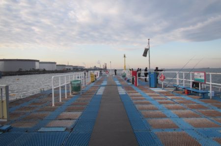 オリジナルメーカー海づり公園(市原市海づり施設) 釣果