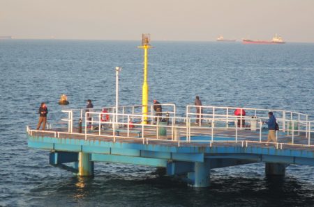 オリジナルメーカー海づり公園(市原市海づり施設) 釣果