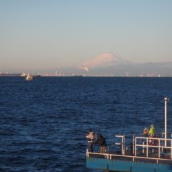 オリジナルメーカー海づり公園(市原市海づり施設) 釣果
