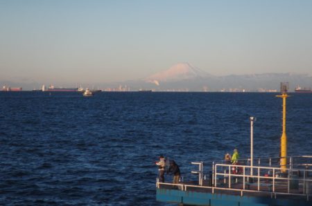 オリジナルメーカー海づり公園(市原市海づり施設) 釣果