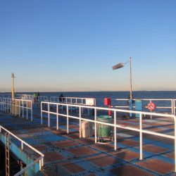 オリジナルメーカー海づり公園(市原市海づり施設) 釣果