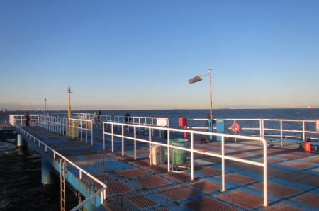 オリジナルメーカー海づり公園(市原市海づり施設) 釣果