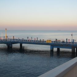 オリジナルメーカー海づり公園(市原市海づり施設) 釣果