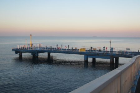 オリジナルメーカー海づり公園(市原市海づり施設) 釣果