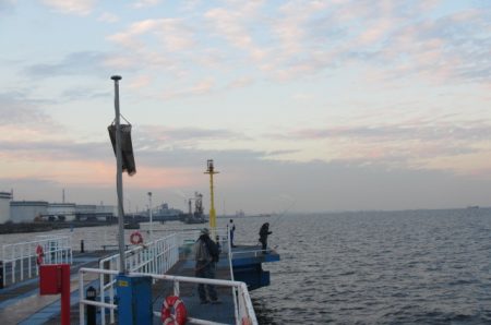 オリジナルメーカー海づり公園(市原市海づり施設) 釣果