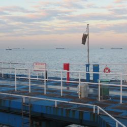 オリジナルメーカー海づり公園(市原市海づり施設) 釣果