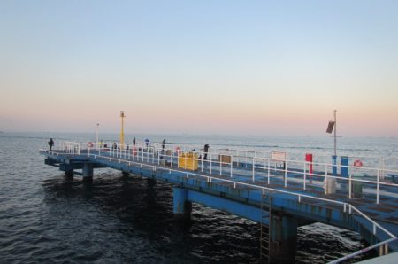 オリジナルメーカー海づり公園(市原市海づり施設) 釣果