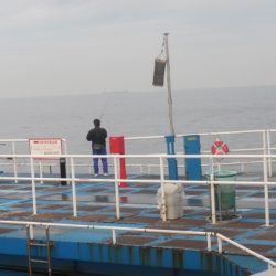 オリジナルメーカー海づり公園(市原市海づり施設) 釣果