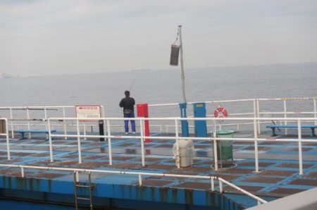 オリジナルメーカー海づり公園(市原市海づり施設) 釣果