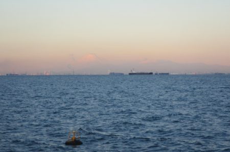 オリジナルメーカー海づり公園(市原市海づり施設) 釣果