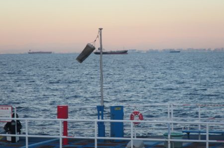 オリジナルメーカー海づり公園(市原市海づり施設) 釣果
