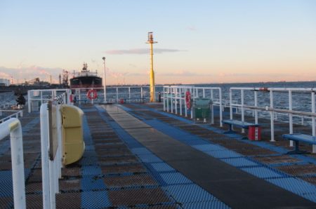 オリジナルメーカー海づり公園(市原市海づり施設) 釣果