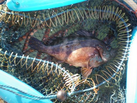 オリジナルメーカー海づり公園(市原市海づり…