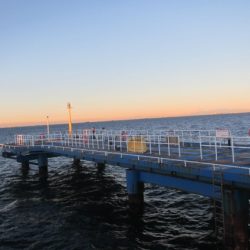 オリジナルメーカー海づり公園(市原市海づり施設) 釣果