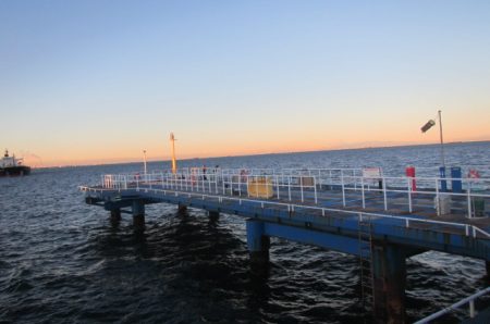 オリジナルメーカー海づり公園(市原市海づり施設) 釣果