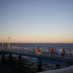 オリジナルメーカー海づり公園(市原市海づり施設) 釣果