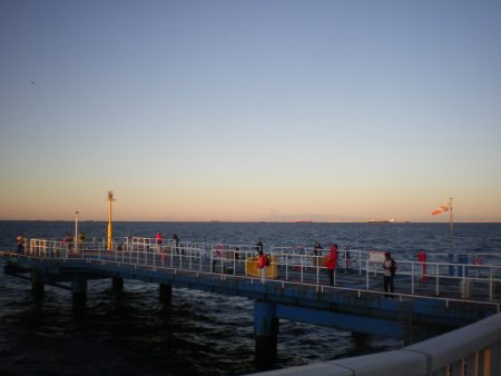オリジナルメーカー海づり公園(市原市海づり施設) 釣果