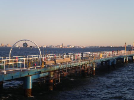 オリジナルメーカー海づり公園(市原市海づり施設) 釣果