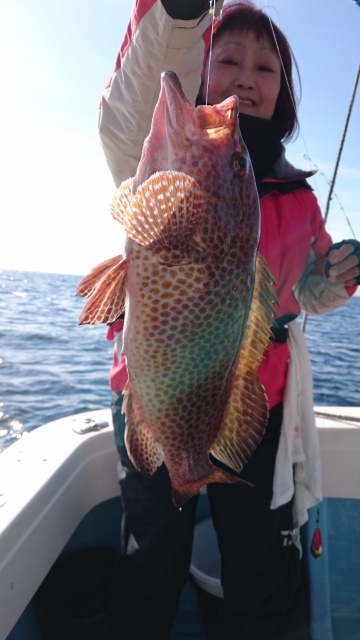 海晴丸 釣果
