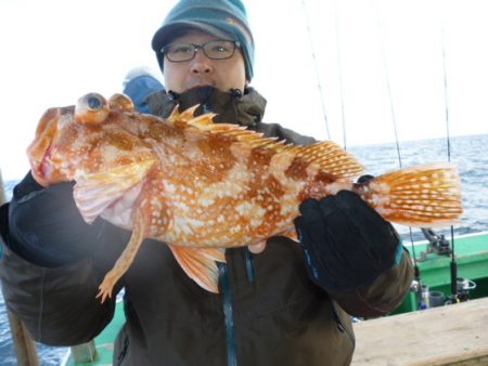真祐丸 （しんゆうまる） 釣果