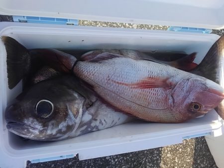 遊漁船 新鋭丸 釣果