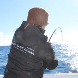 へいみつ丸 釣果
