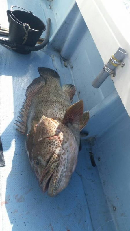 第五慶門丸 釣果