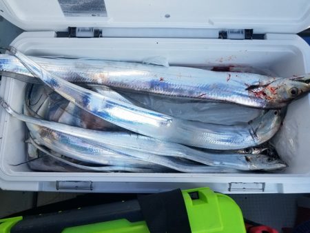 遊漁船　ニライカナイ 釣果