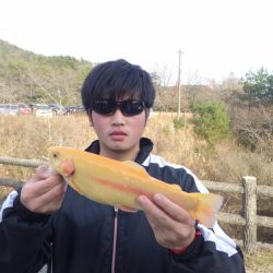 フィッシングレイクたかみや 釣果