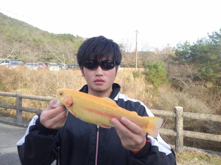 フィッシングレイクたかみや 釣果