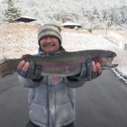フィッシングレイクたかみや 釣果