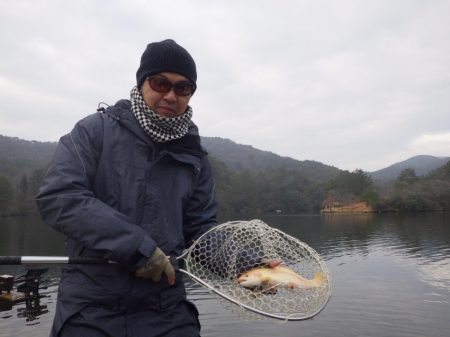 フィッシングレイクたかみや 釣果