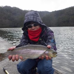 フィッシングレイクたかみや 釣果