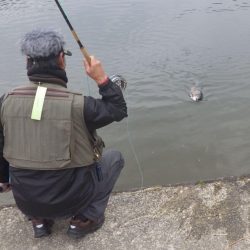 フィッシングレイクたかみや 釣果