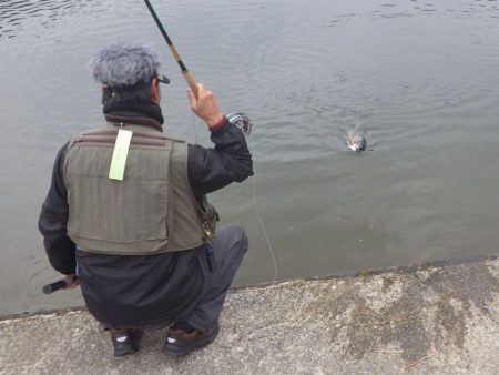 フィッシングレイクたかみや 釣果