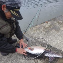 フィッシングレイクたかみや 釣果