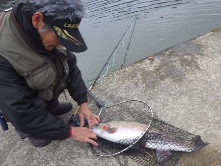 フィッシングレイクたかみや 釣果