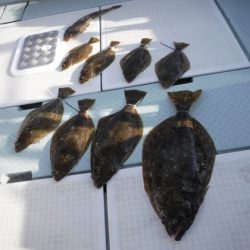 遊漁船 幸友丸 釣果