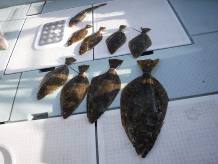 遊漁船 幸友丸 釣果