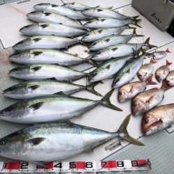 ふじしめ丸 釣果