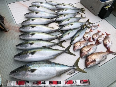 ふじしめ丸 釣果