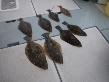 遊漁船 幸友丸 釣果