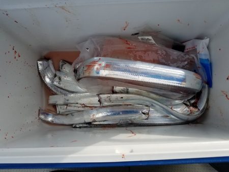 遊漁船　ニライカナイ 釣果