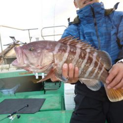 真祐丸 (しんゆうまる) 釣果