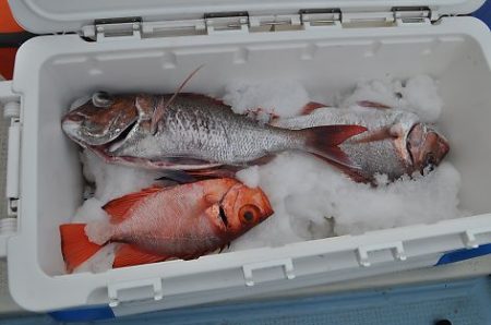 八海丸 釣果