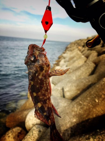 カレイ釣り！！