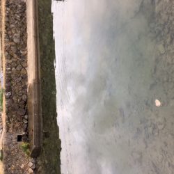 狭いが、そこそこ釣れて楽しめる