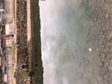 狭いが、そこそこ釣れて楽しめる